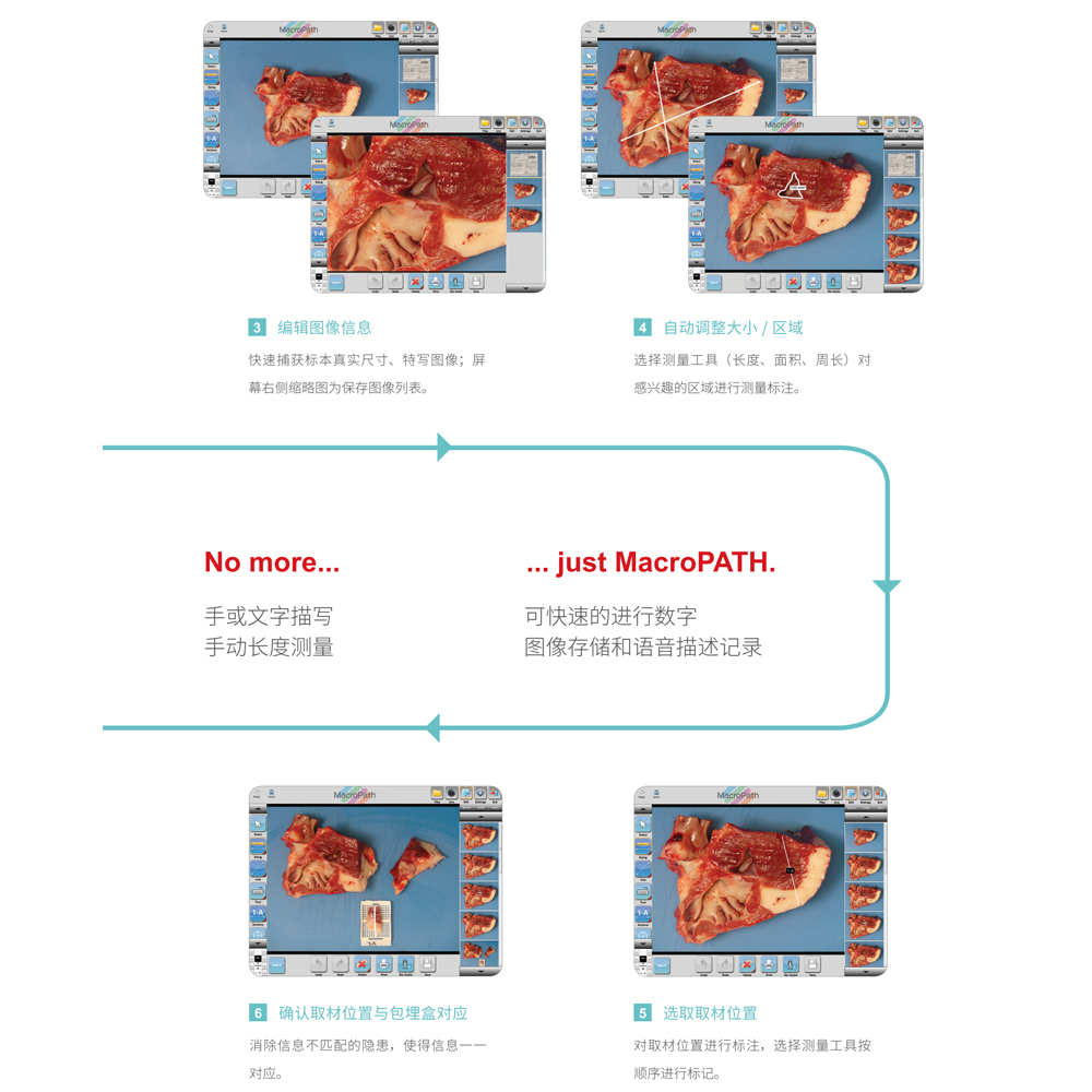 浩博体育app
